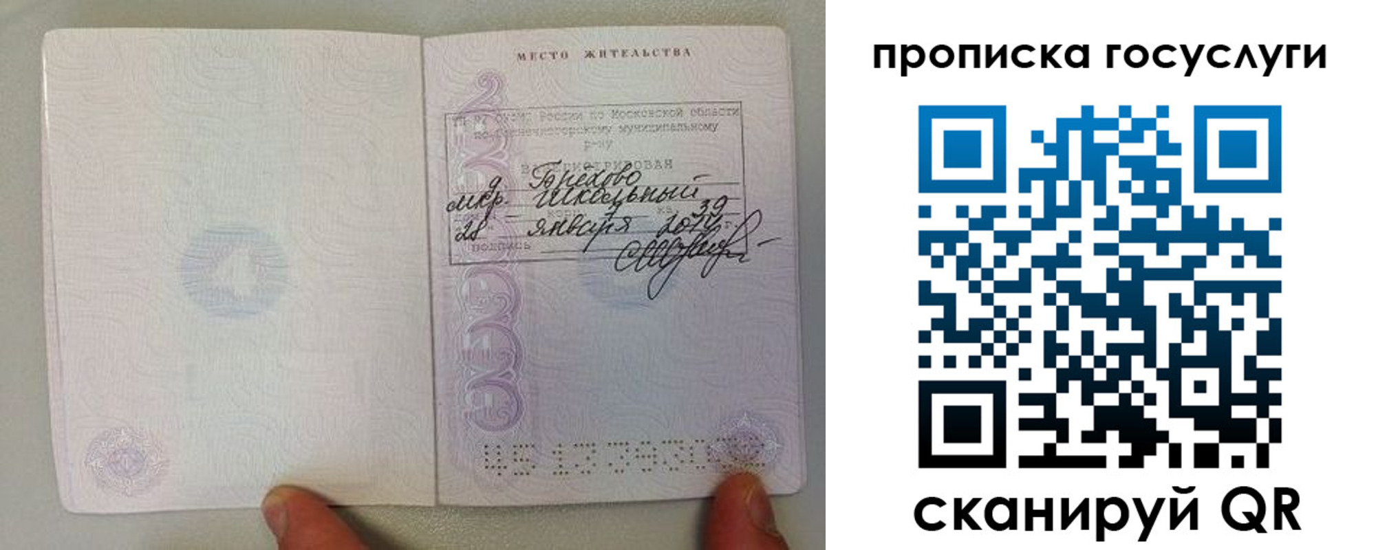 временная регистрация для всех в Палласовке
